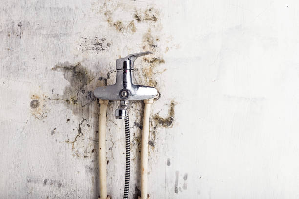Best Residential Mold Removal  in Temelec, CA