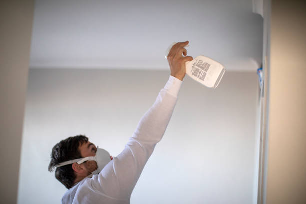 Best Residential Mold Removal  in Temelec, CA