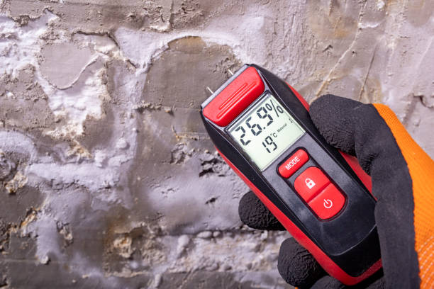 Best Mold Testing  in Temelec, CA