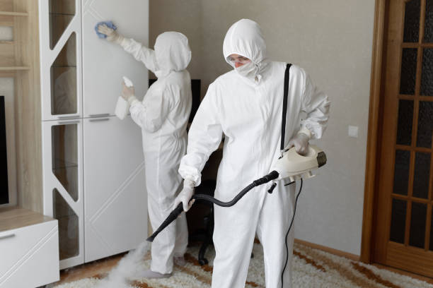 Crawl Space Mold Removal in Temelec, CA