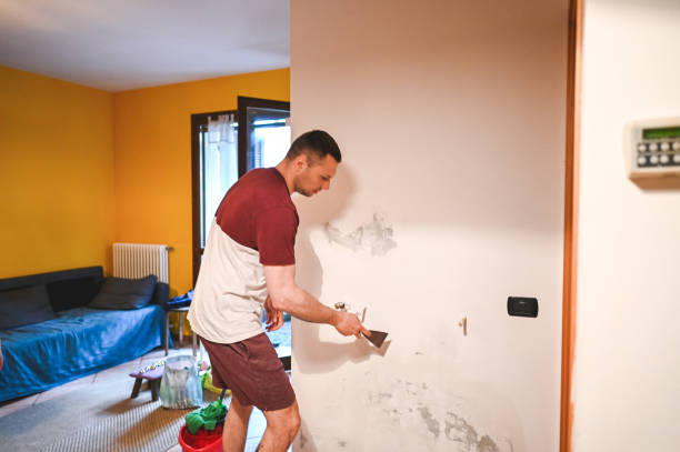 Best Emergency Mold Removal  in Temelec, CA